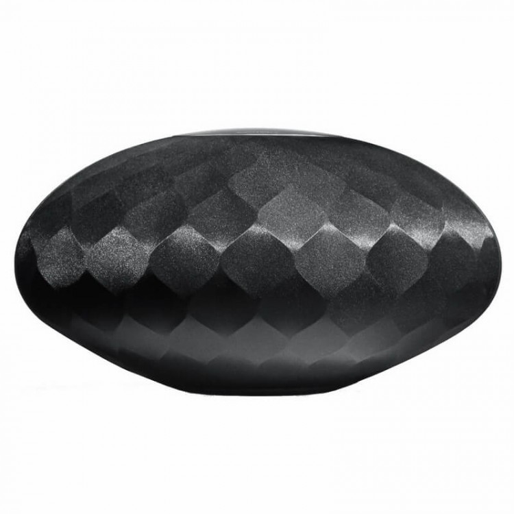 Защитная сетка, гриль - Grille Assembly L-PS1 Black, ZG07161
